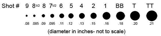 shot Size Chart