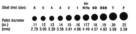 steel shot size chart